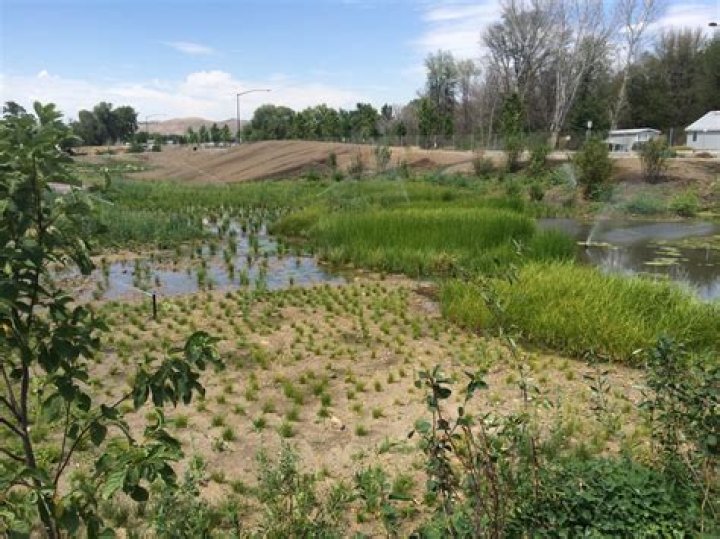 Esther Simplot Park pond back open to the public after algae discovery